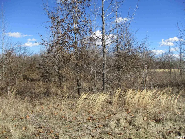 $27,500 | 0 Antioch Road, West Frankfort, IL 62896