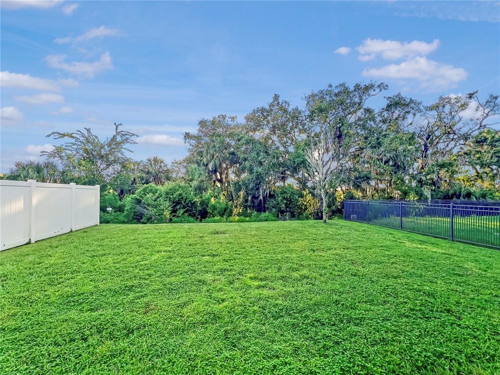 8511 Rain Lily Crossing Parrish, FL 34219 - Photo 16 of 34 a view of a back yard
