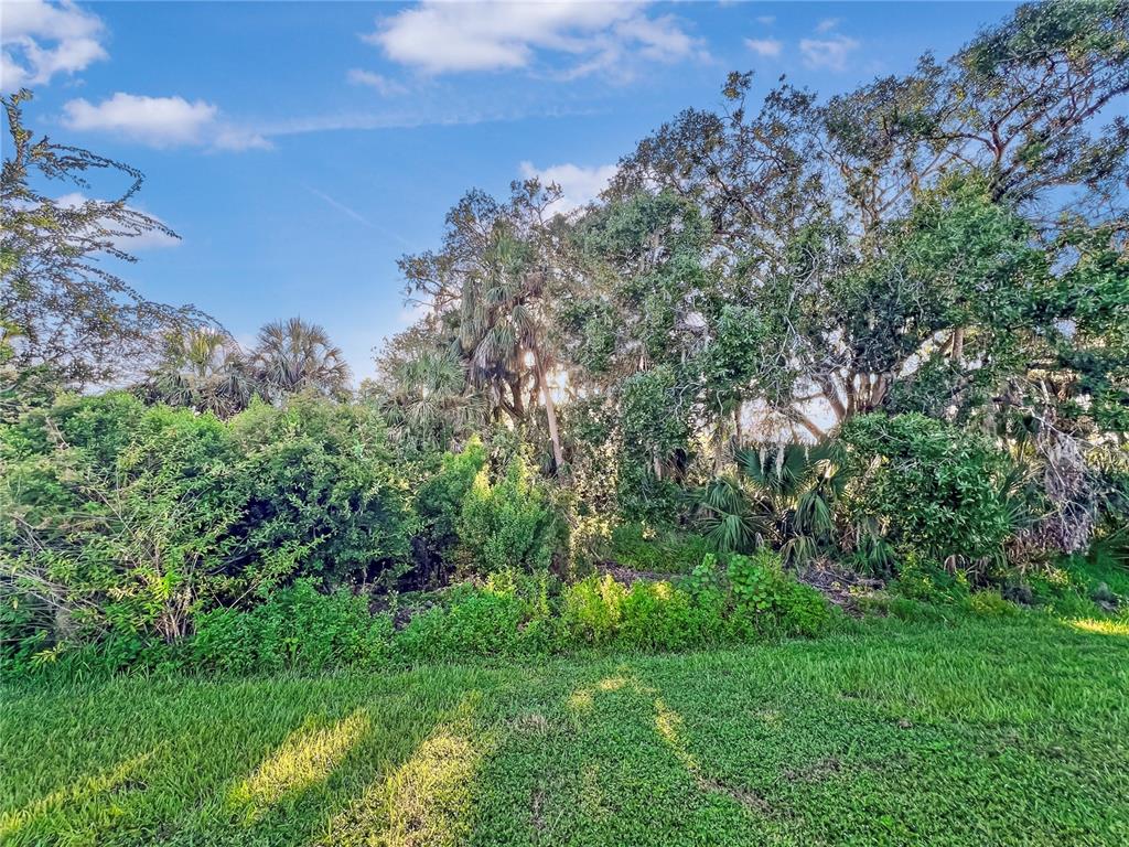 8511 Rain Lily Crossing Parrish, FL 34219 - Photo 17 of 34 a view of a lush green space
