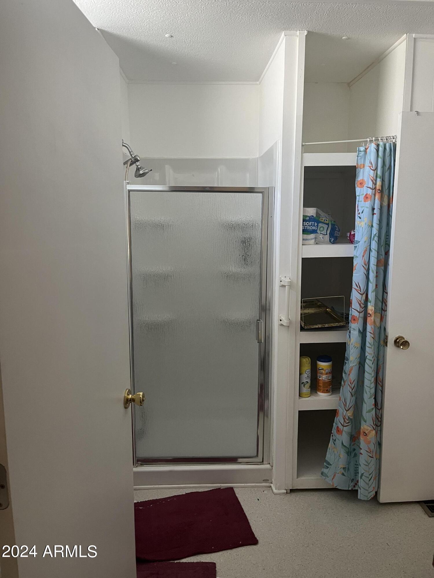 2460 East Main Street, Unit F2 Mesa, AZ 85213 - Photo 12 of 17 a view of walk in closet