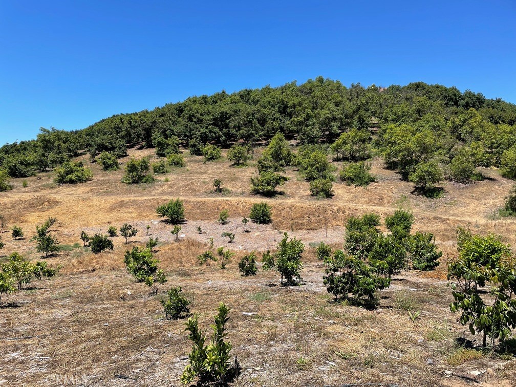 2 Via Vaquero Temecula, CA 92590 - Photo 1 of 28 a view of a beach with a mountain in the background