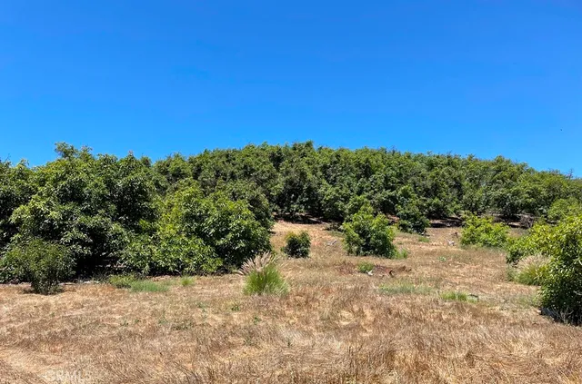 a view of a lake with a mountain in the background