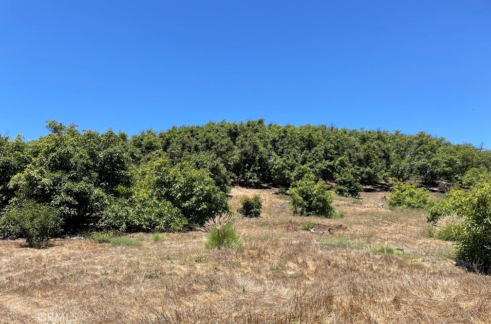 2 Via Vaquero Temecula, CA 92590 - Photo 14 of 28 a view of a lake with a mountain in the background