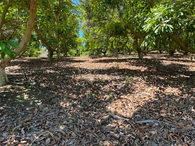 a view of outdoor space with deck and yard