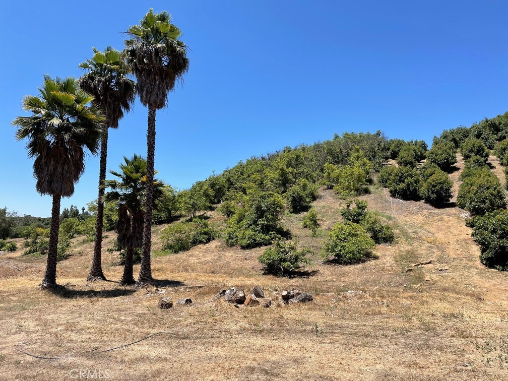 2 Via Vaquero Temecula, CA 92590 - Photo 2 of 28 a view of a garden with a plant in the background