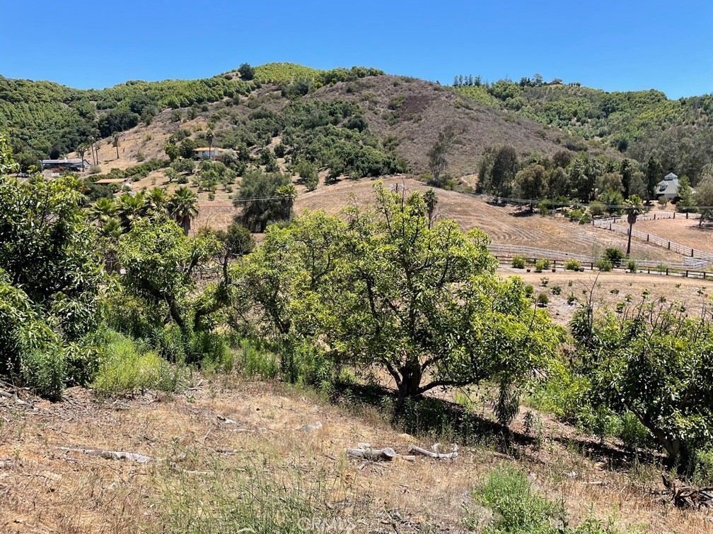 2 Via Vaquero Temecula, CA 92590 - Photo 23 of 28 a view of a yard with a tree