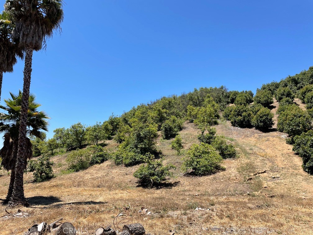2 Via Vaquero Temecula, CA 92590 - Photo 25 of 28 a view of a road with a yard