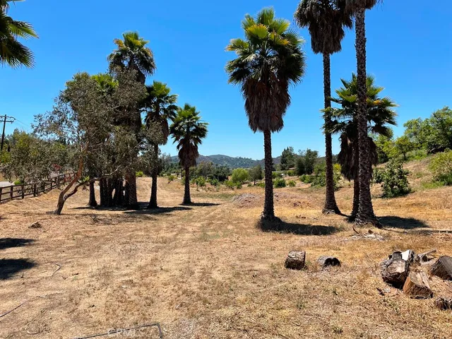 a view of a yard with a tree