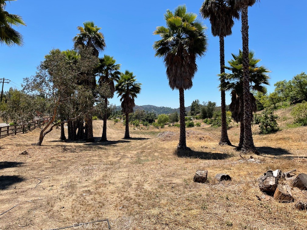 2 Via Vaquero Temecula, CA 92590 - Photo 26 of 28 a view of a yard with a tree