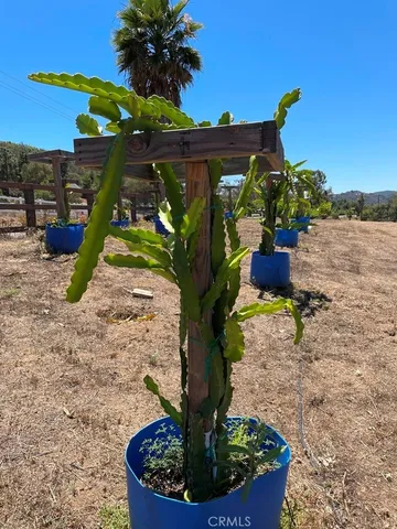 a vase of flowers sitting on a table