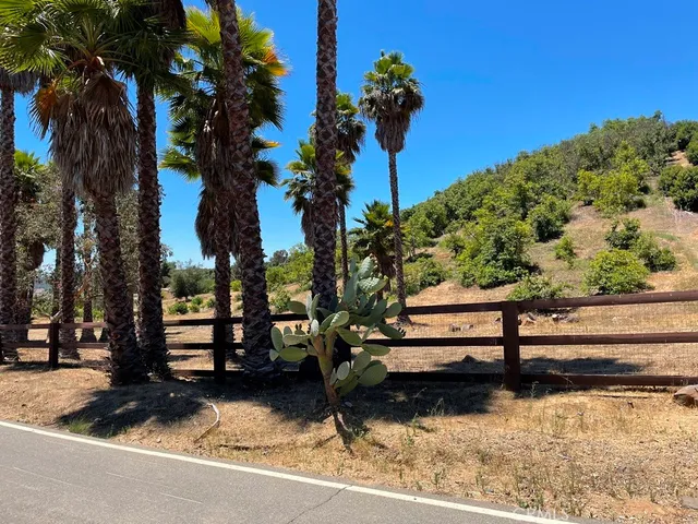a view of a bench in a yard