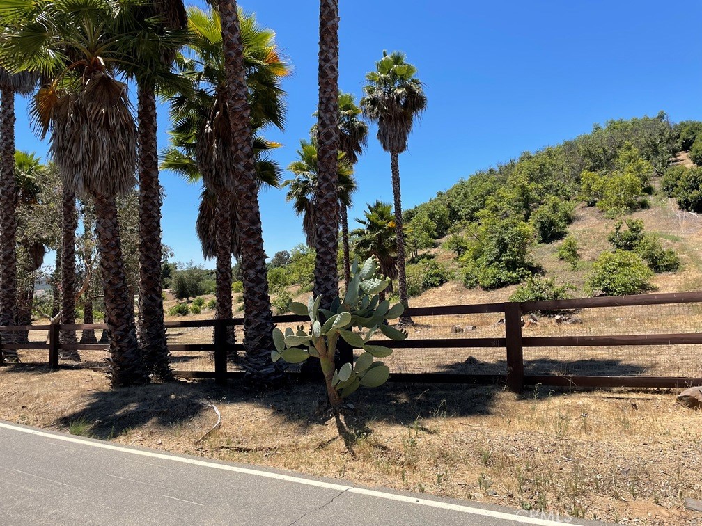 2 Via Vaquero Temecula, CA 92590 - Photo 6 of 28 a view of a bench in a yard
