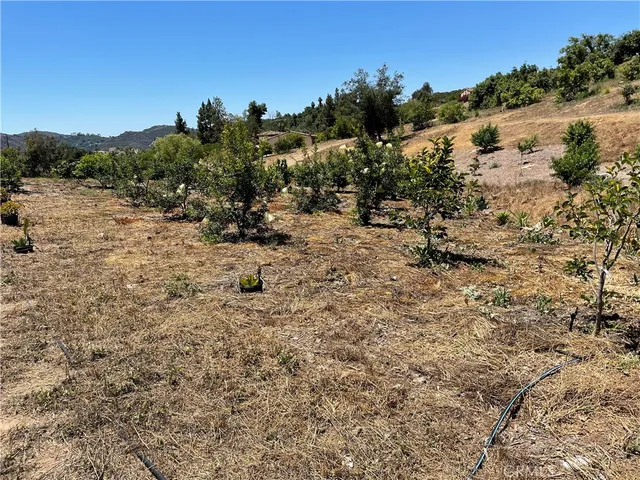 a view of a field with a tree in the background