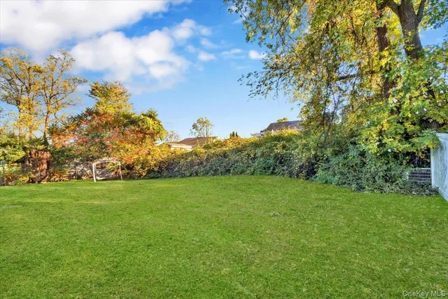 a view of a big yard with plants and a large tree