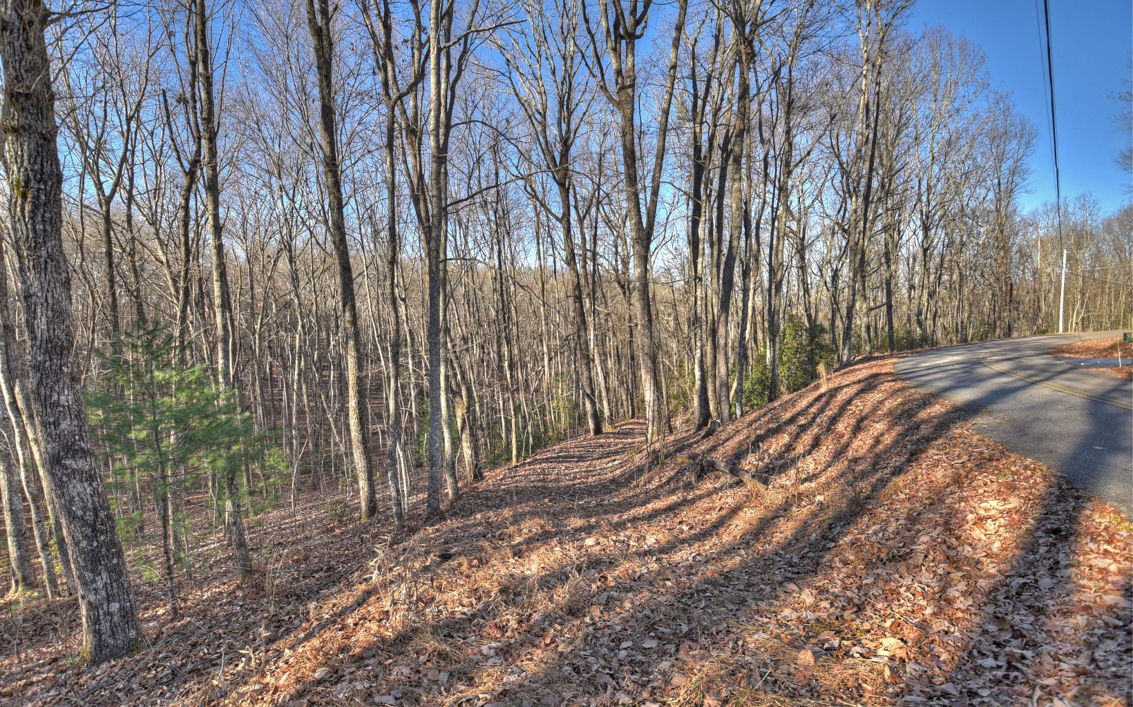 132 Laurel Crossing Blue Ridge, GA 30513 - Photo 12 of 18 Additional View