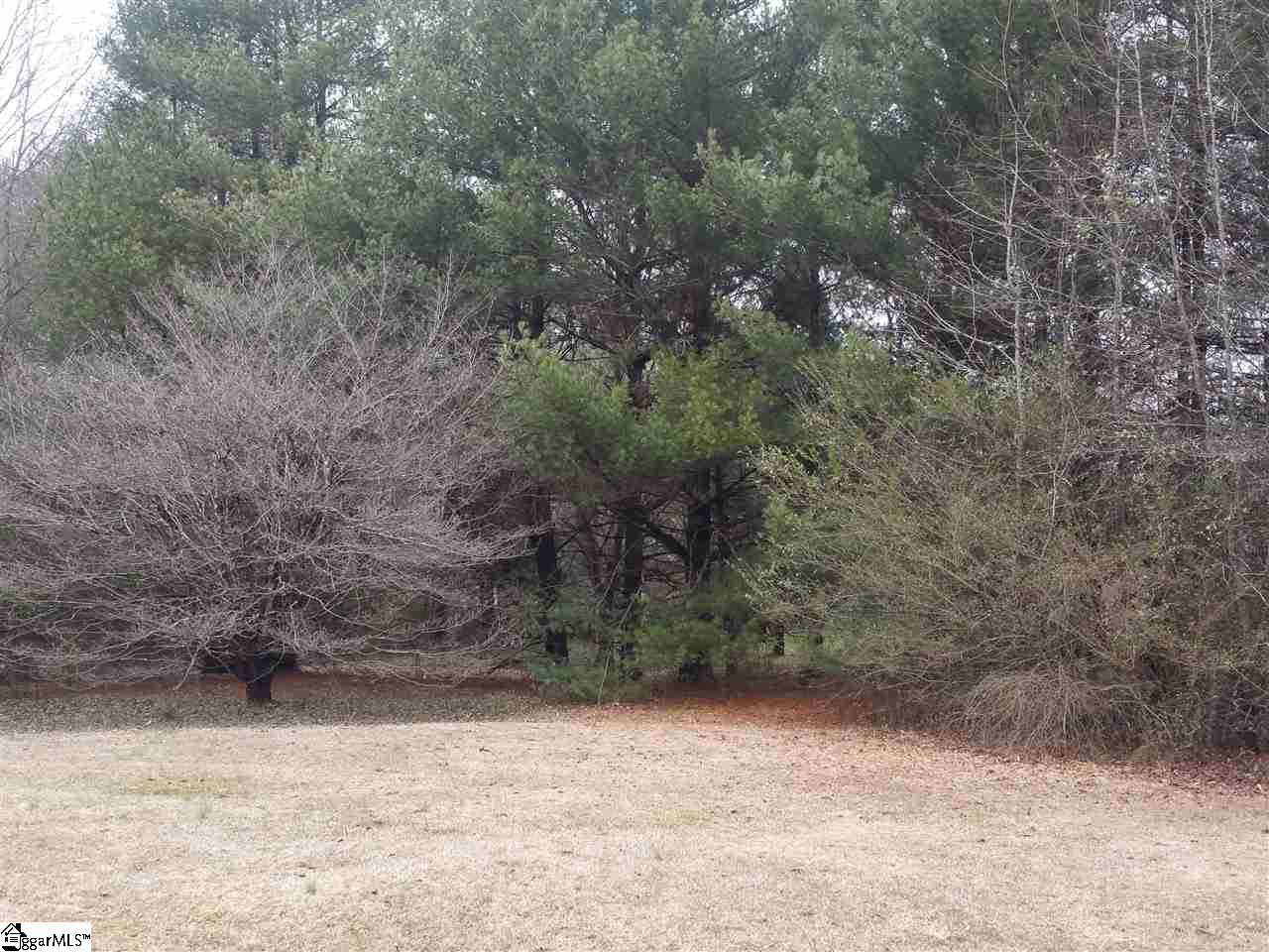 0 River Road, Unit LOT A Piedmont, SC 29673 - Photo 2 of 7 Gallery Image 2