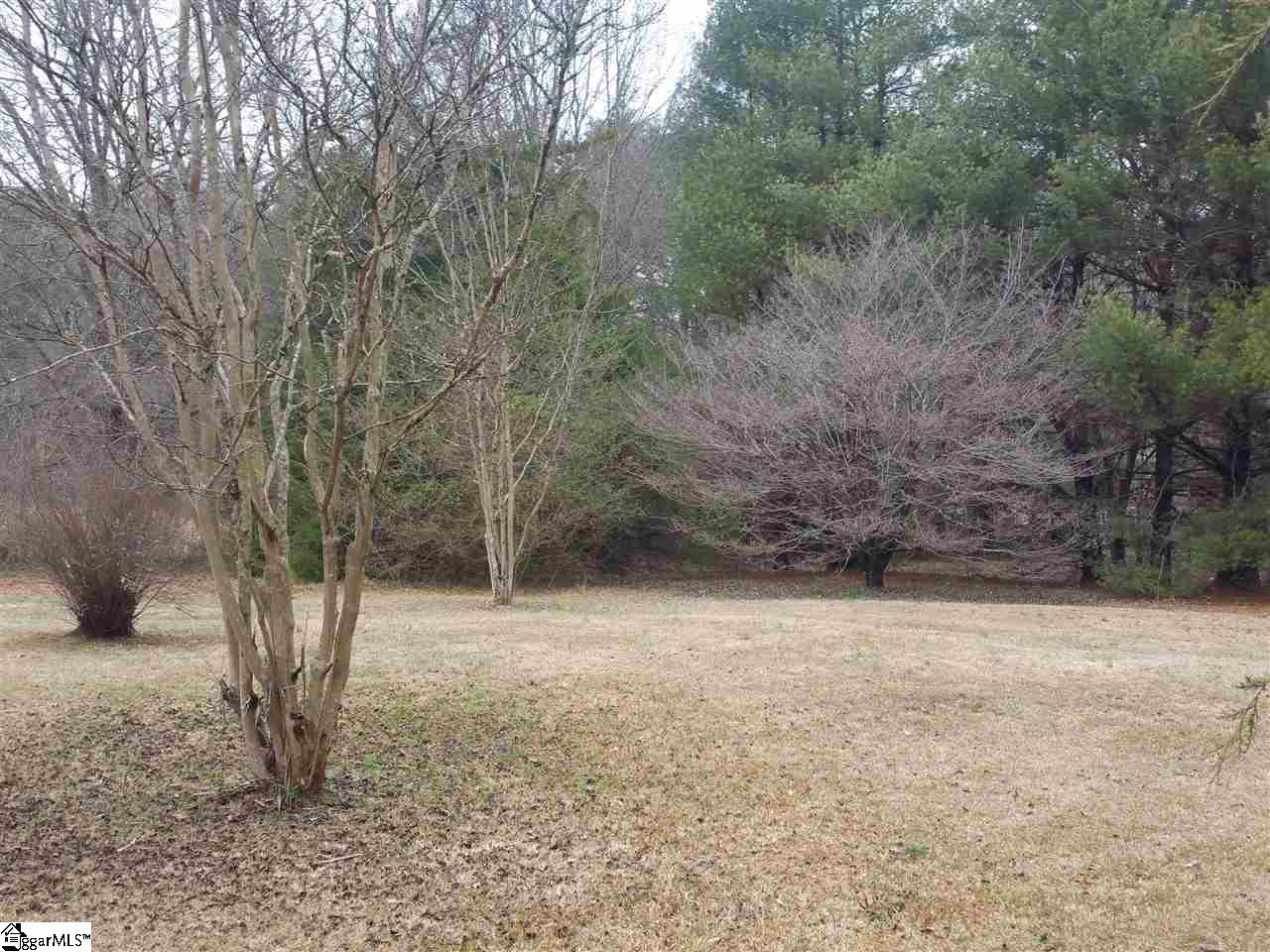 0 River Road, Unit LOT A Piedmont, SC 29673 - Photo 5 of 7 Gallery Image 5