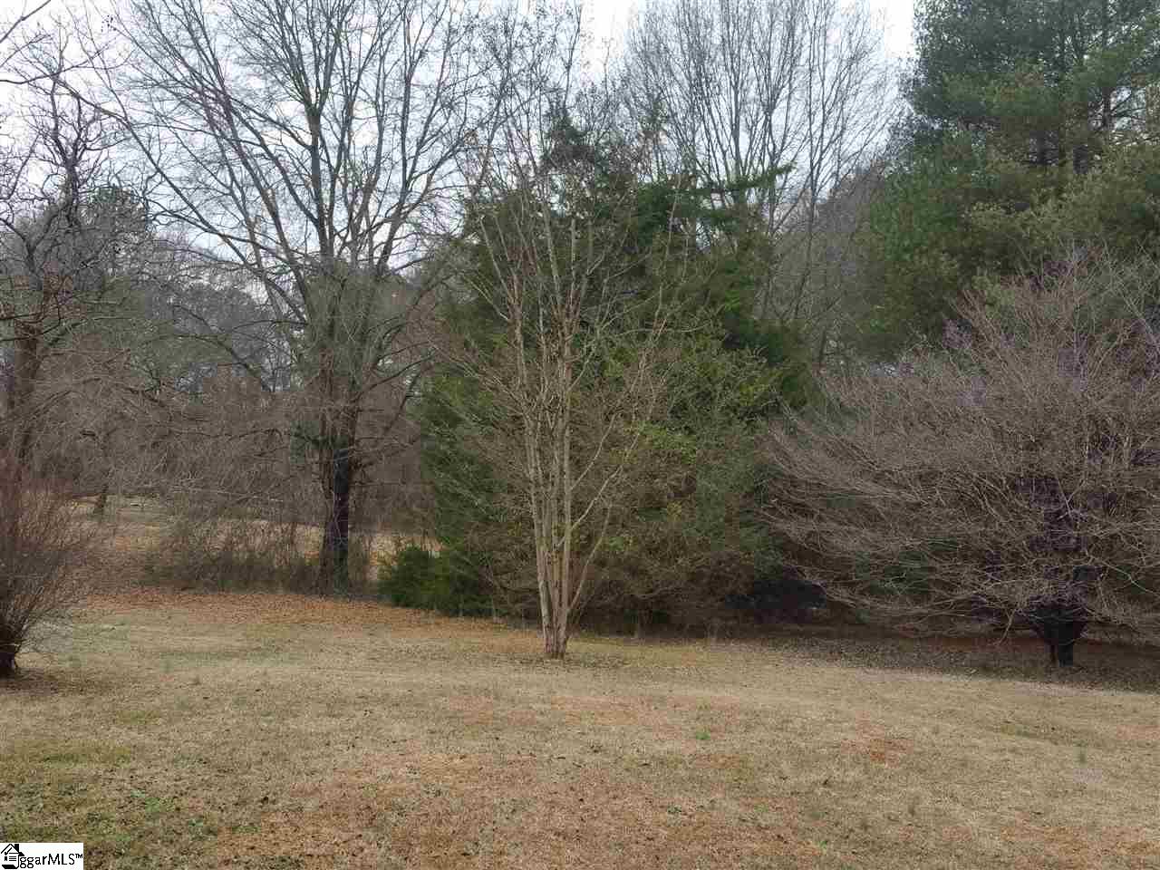 0 River Road, Unit LOT A Piedmont, SC 29673 - Photo 6 of 7 Gallery Image 6