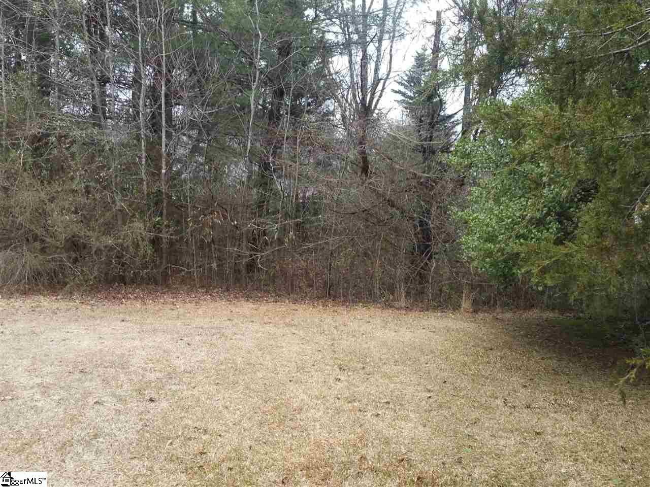 0 River Road, Unit LOT A Piedmont, SC 29673 - Photo 7 of 7 Gallery Image 7