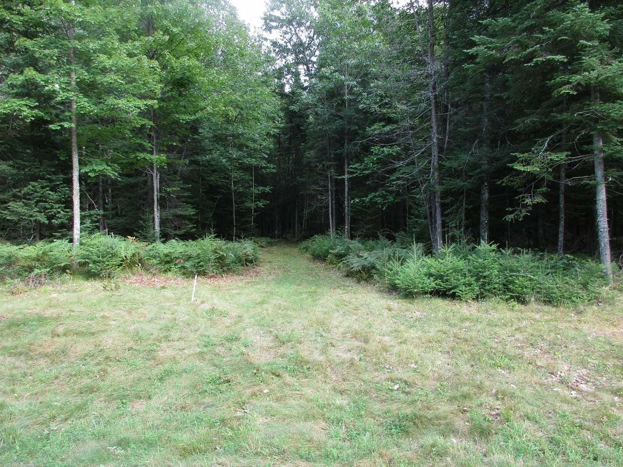 On Garrett's Trail, Unit LOT 1 Rhinelander, WI 54501 - Photo 2 of 14 Gallery Image 2