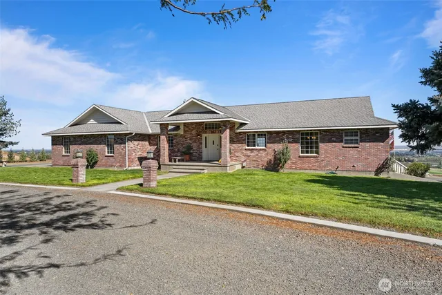 a living room with furniture wooden floor and a potted plant