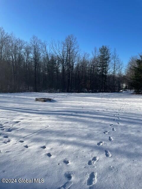 524 Lakeview Road Broadalbin, NY 12025 - Photo 8 of 14 thumbnail_IMG_7733 (1)
