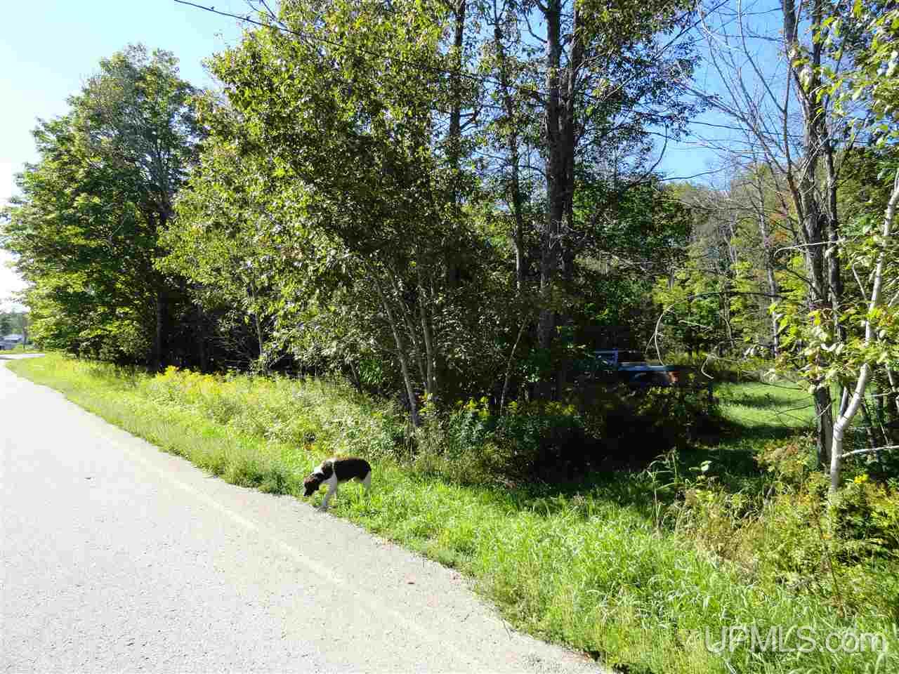 6386 Co Rd 432 Rock, MI 49880 - Photo 34 of 39