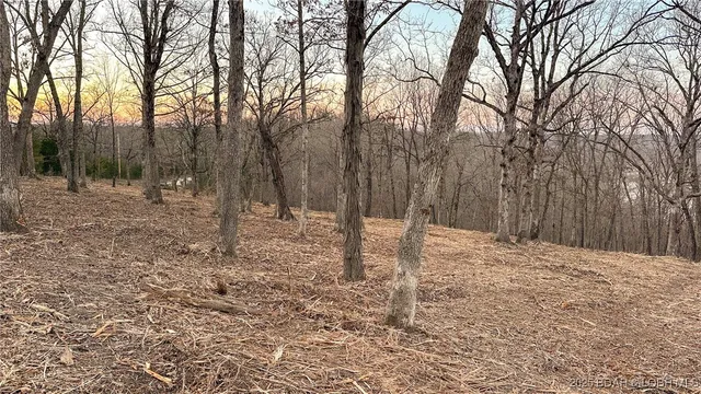 $42,400 | 6.13-ac Indian Creek Drive, Rocky Mount, MO 65072