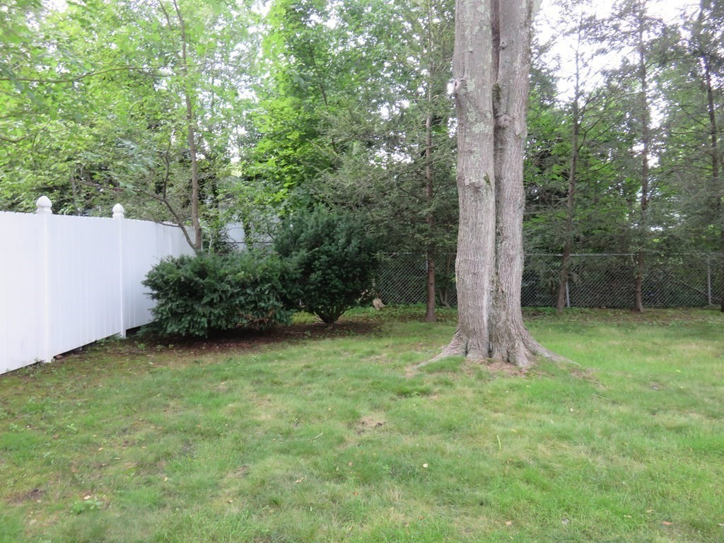 37 Truman Road Newton, MA 02459 - Photo 32 of 33