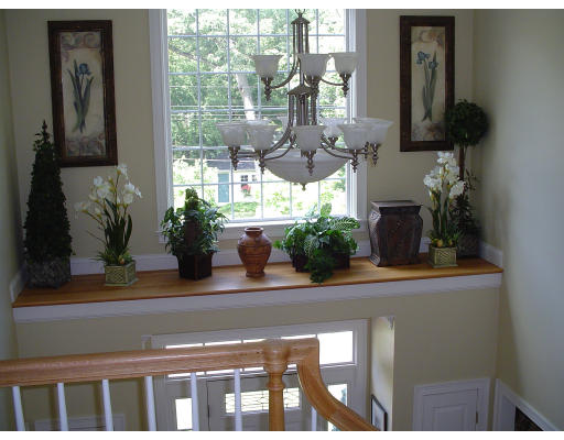 5 Dunedin Road Wellesley, MA 02481 - Photo 12 of 15