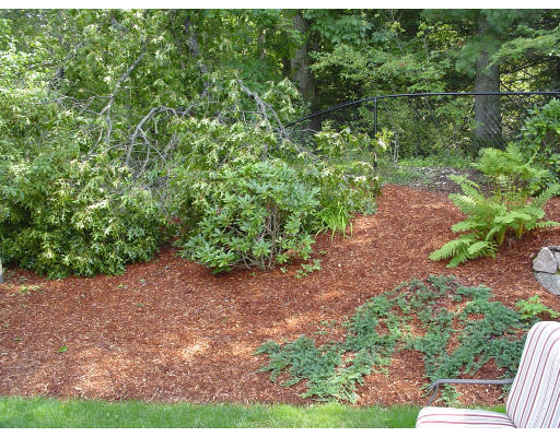 5 Dunedin Road Wellesley, MA 02481 - Photo 15 of 15