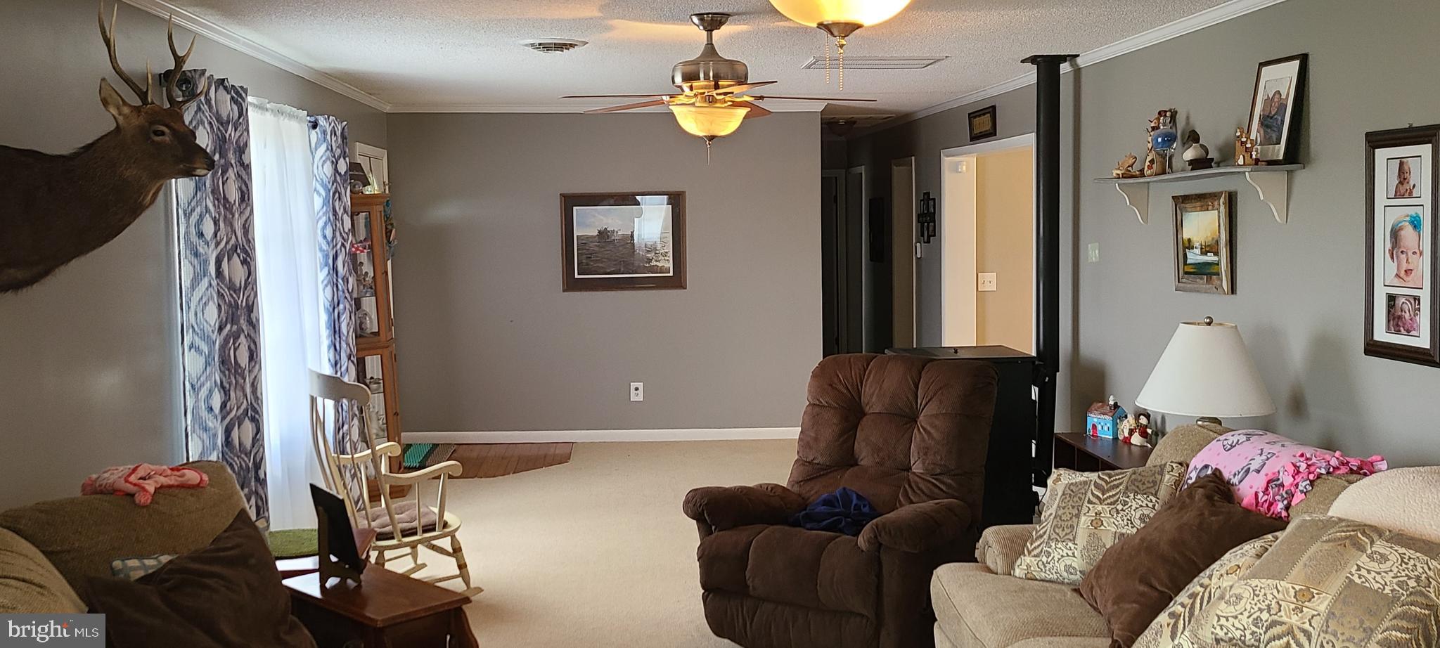 5527 Indiantown Road Rhodesdale, MD 21659 - Photo 22 of 22