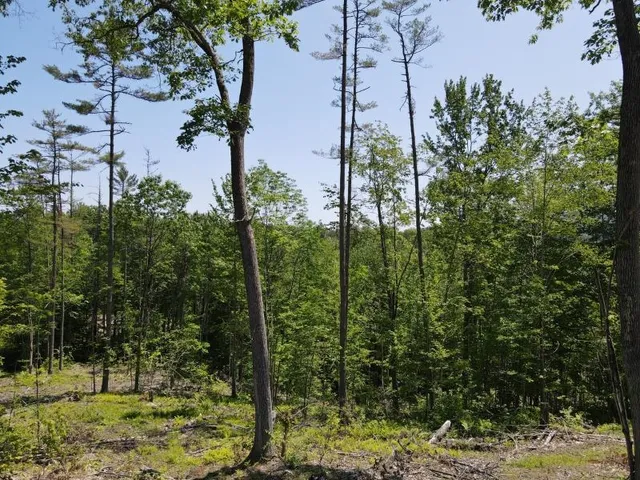 $139,000 | 0 Denio Road, Barnet, VT 05821