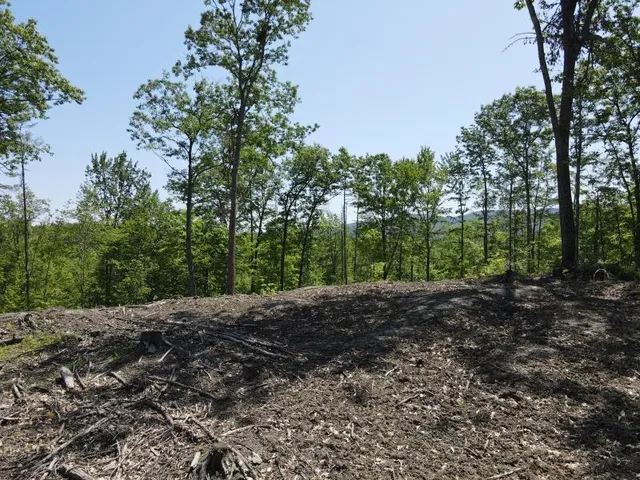 $139,000 | 0 Denio Road, Barnet, VT 05821