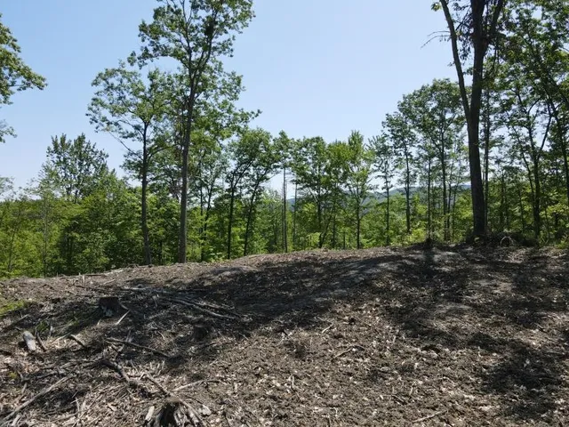 $139,000 | 0 Denio Road, Barnet, VT 05821