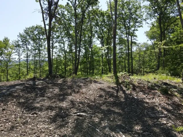 $139,000 | 0 Denio Road, Barnet, VT 05821