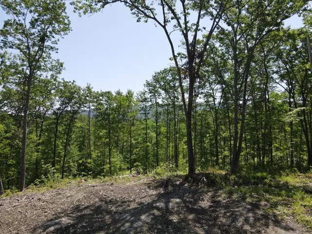 $139,000 | 0 Denio Road, Barnet, VT 05821