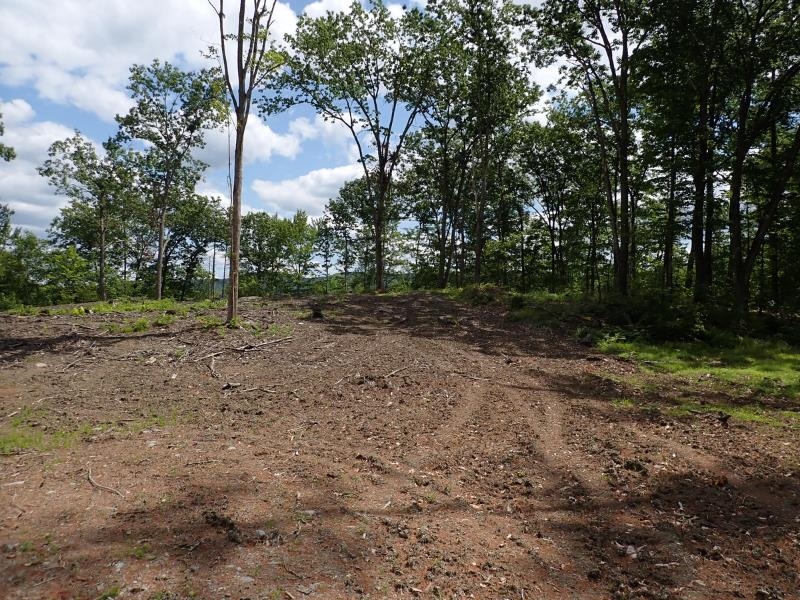 0 Denio Road Barnet, VT 05821 - Photo 16 of 24