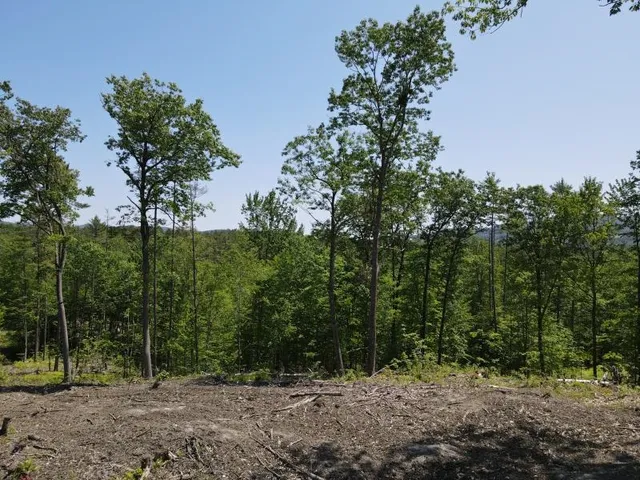 $139,000 | 0 Denio Road, Barnet, VT 05821