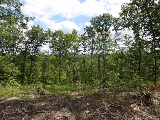 $139,000 | 0 Denio Road, Barnet, VT 05821