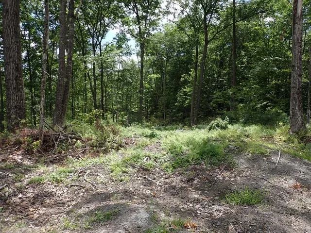 $139,000 | 0 Denio Road, Barnet, VT 05821