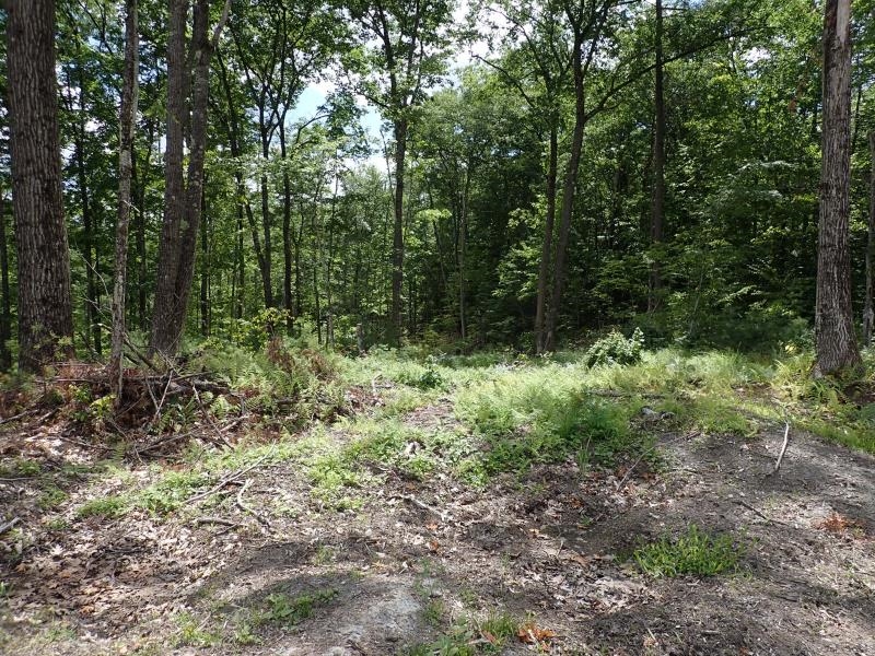 0 Denio Road Barnet, VT 05821 - Photo 19 of 24