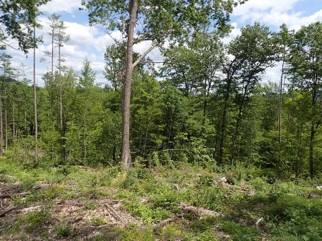 $139,000 | 0 Denio Road, Barnet, VT 05821