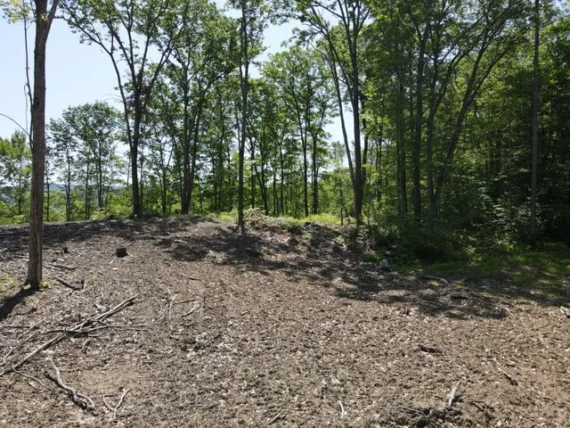 $139,000 | 0 Denio Road, Barnet, VT 05821