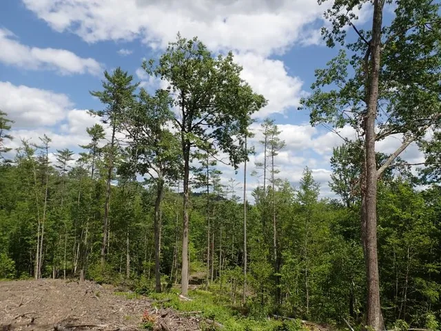 $139,000 | 0 Denio Road, Barnet, VT 05821