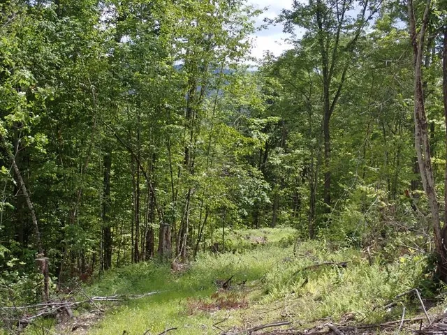 $139,000 | 0 Denio Road, Barnet, VT 05821