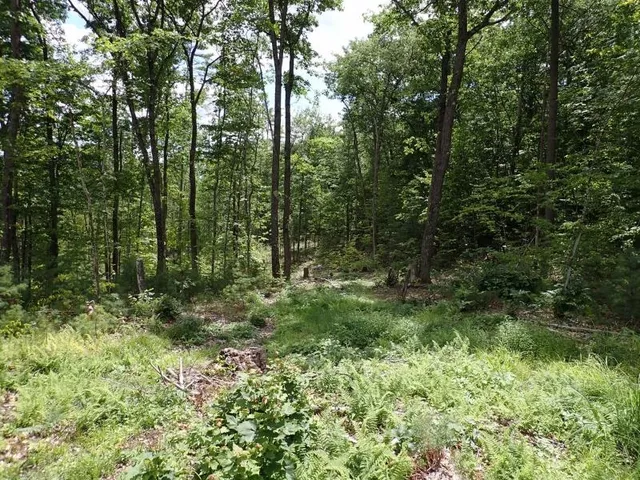 $139,000 | 0 Denio Road, Barnet, VT 05821