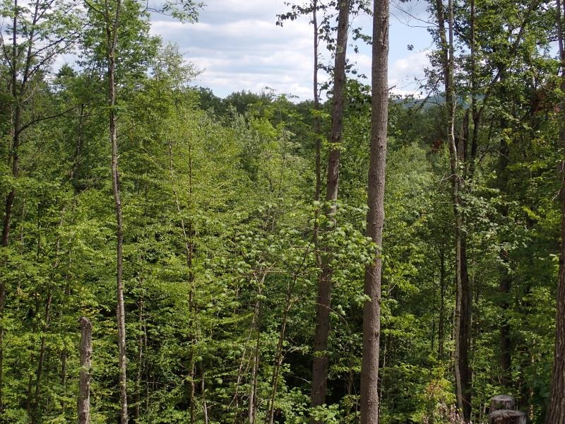 0 Denio Road Barnet, VT 05821 - Photo 24 of 24