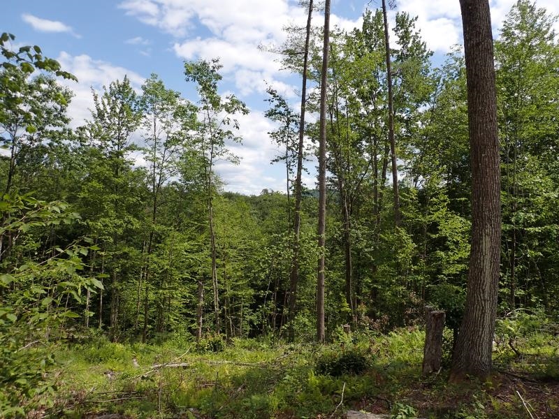 0 Denio Road Barnet, VT 05821 - Photo 3 of 24