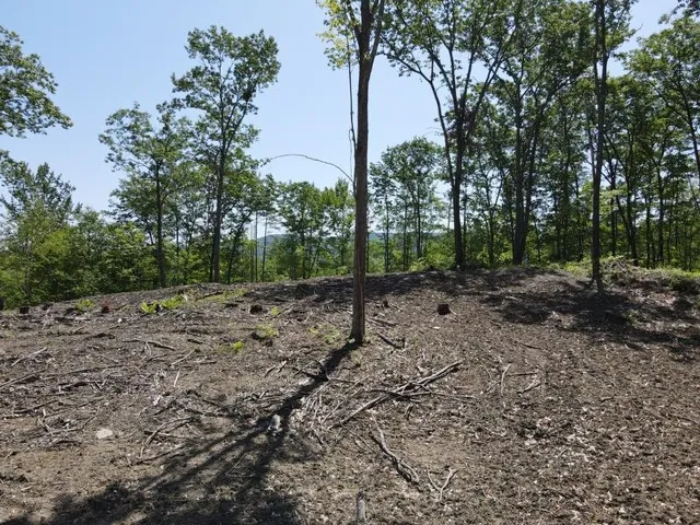 $139,000 | 0 Denio Road, Barnet, VT 05821